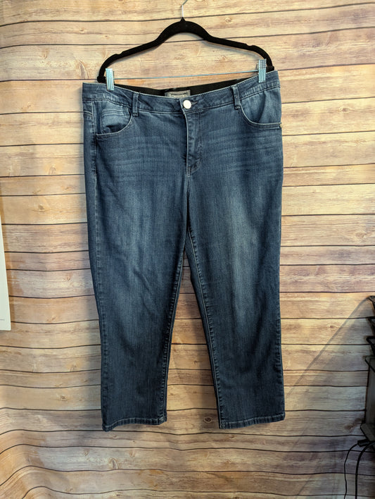 Democracy AB Technology Short Women's Jeans 16W Inseam 30"