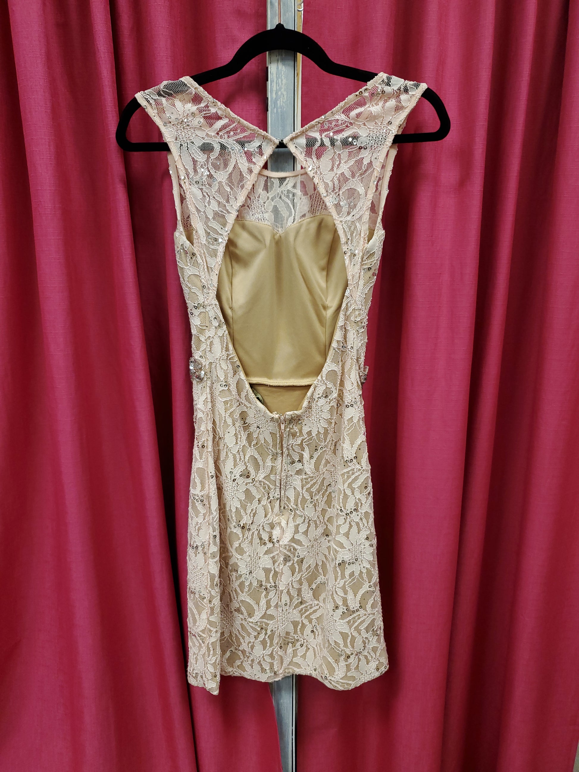 Pink Rose Lace Dress w/ Sparkle - Scarlett's Riverside Boutique 