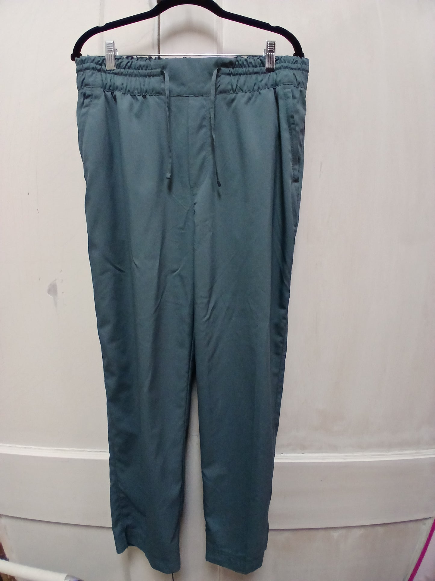 Never Not Hustling Teal Pants Size Large RS 88