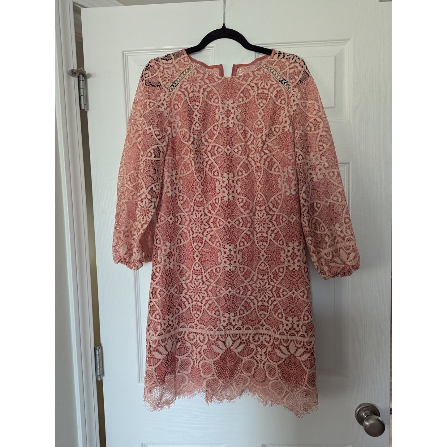 Vince Camuto Lace Shift Dress Size 8 Pink Blush Long Sleeve Boho Chic #G54
