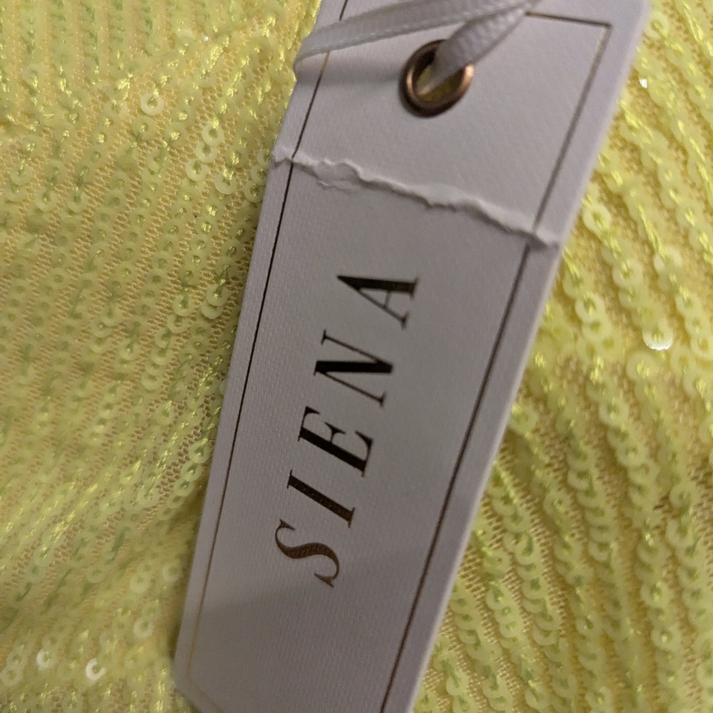 NWT, Siena Sleeveless Sequin A-Line Formal Dress. Size 2 Prom