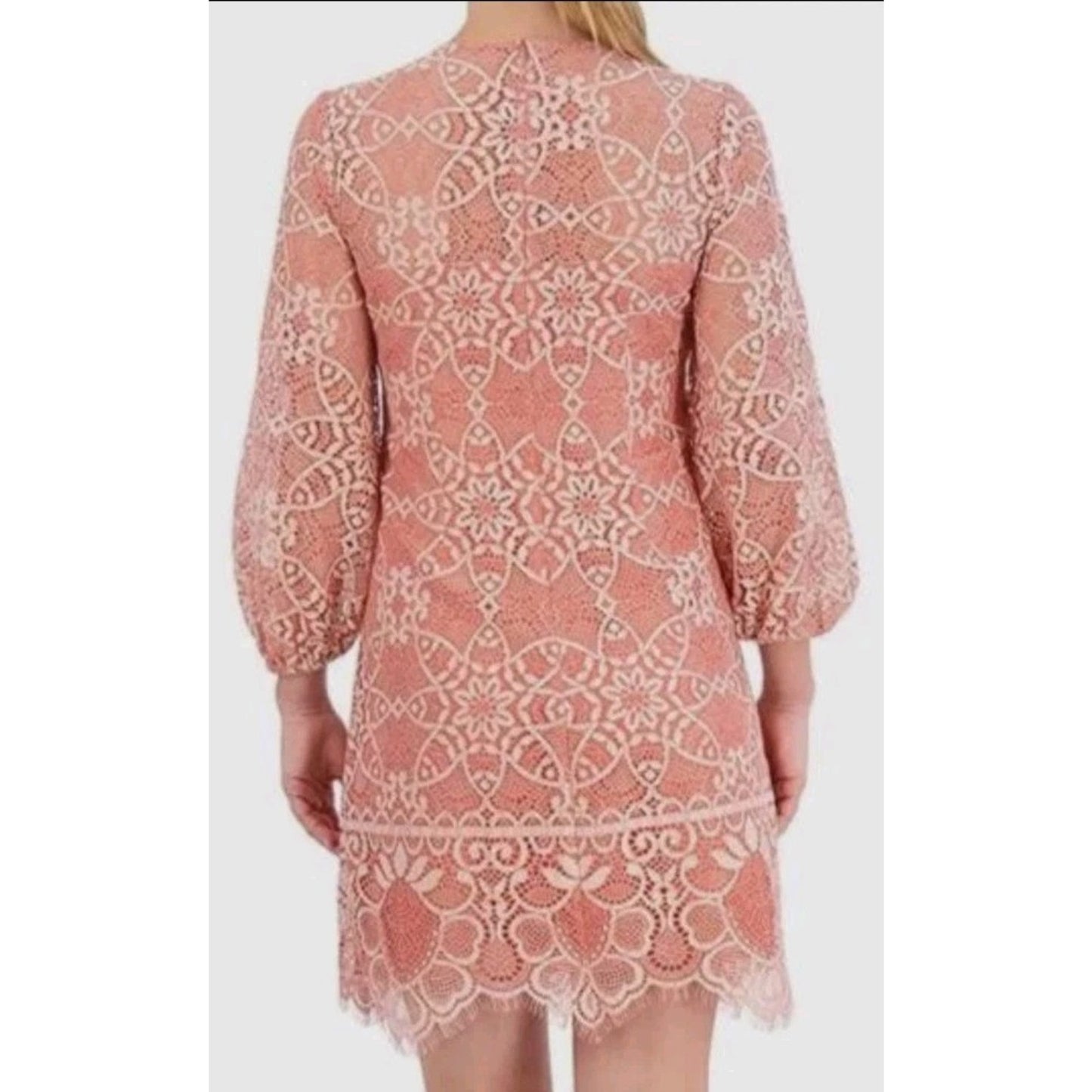 Vince Camuto Lace Shift Dress Size 8 Pink Blush Long Sleeve Boho Chic #G54