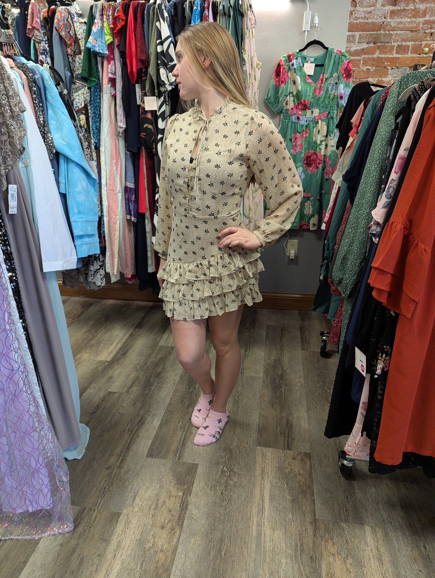NWTs Vintage charm ruffle mini dress. Sz S