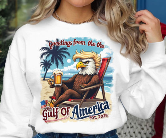 Gulf of America sweatshirt