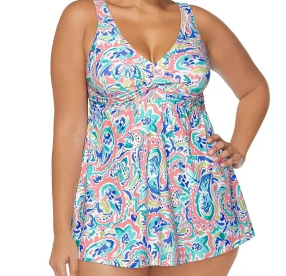 Raisins Curve Lucia V-Neck Tummy Control Swimdress NWTs 14W #A67