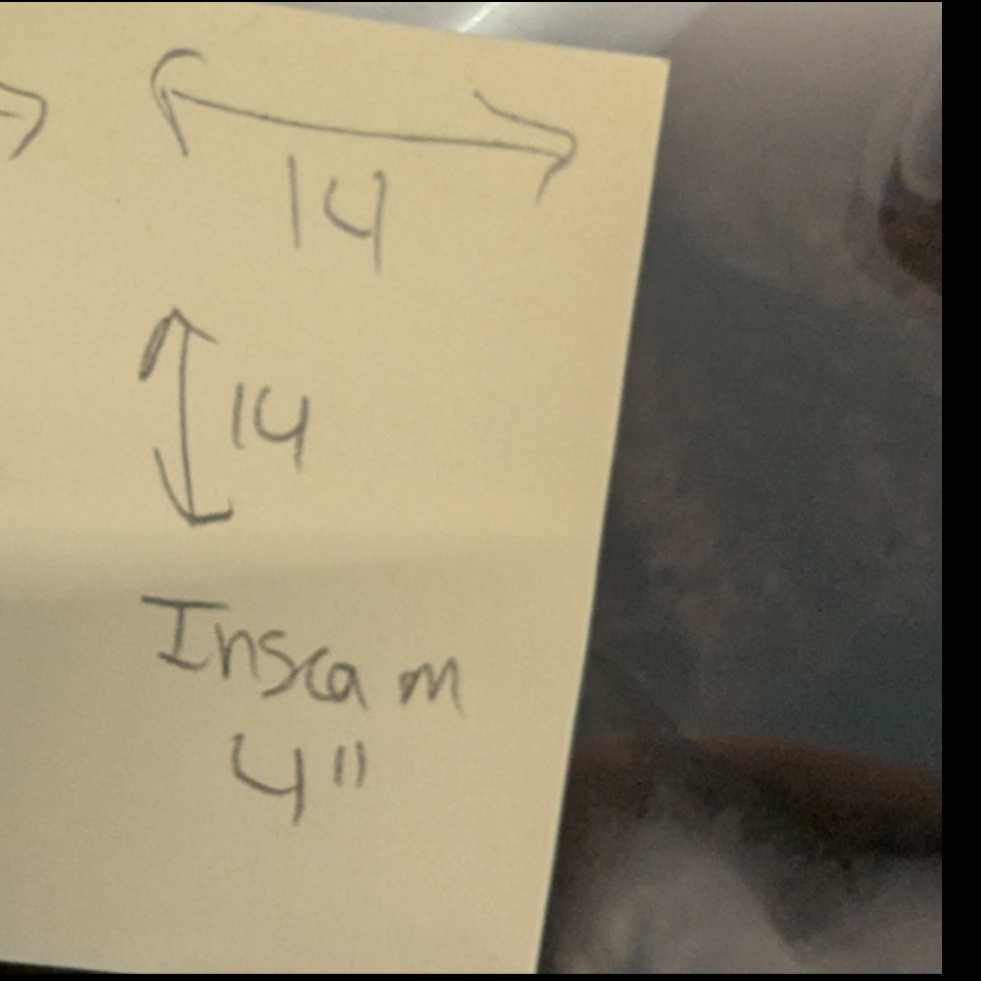 Revolve Tropical Leaf Print Shorts – Size L – High Waist Summer Lounge #B29