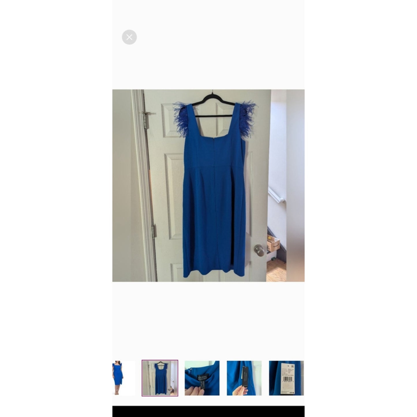 Adrianna Papell Cobalt Blue Feather Sleeve Midi Dress Plus 14W Formal #G14
