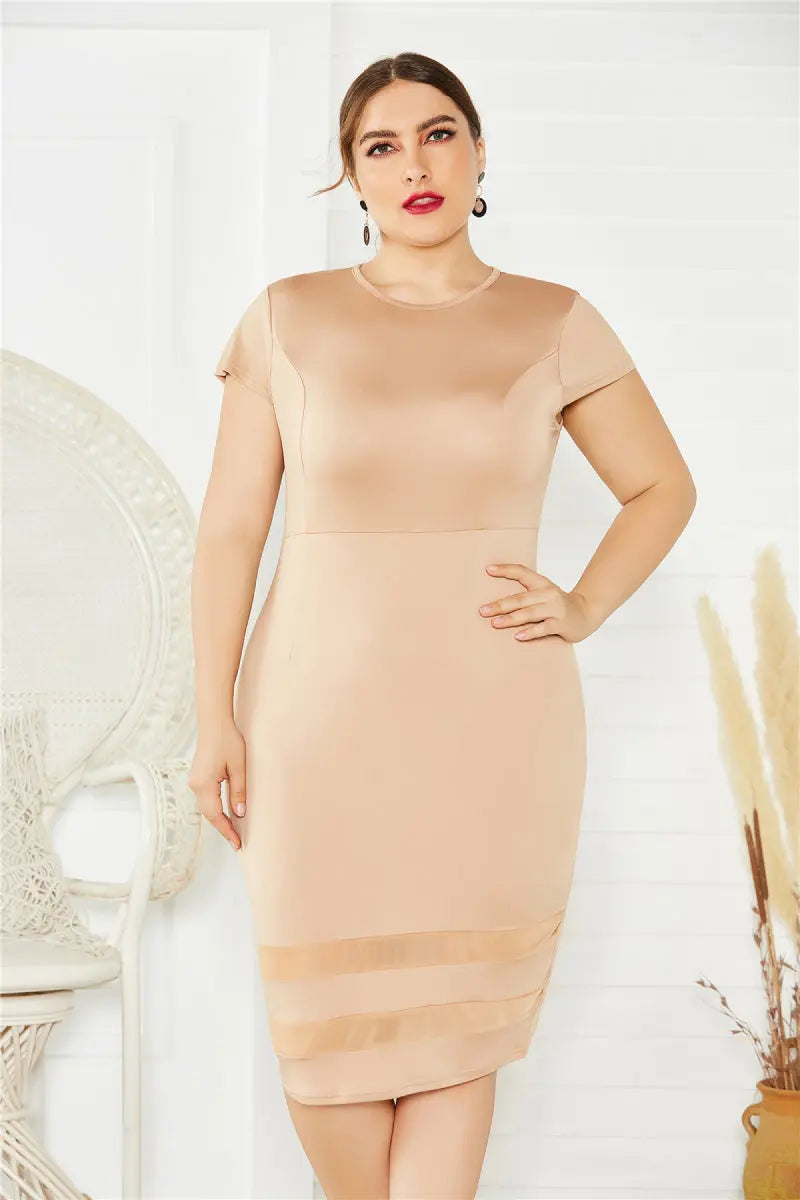 Plus Size Mesh Detail Midi Dress - Scarlett's Riverside Boutique 